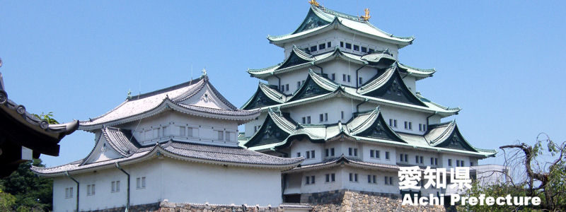 名古屋城,nagoyajyo